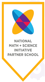 NMSI